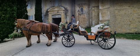 Cheval et calèche traversant un village jurassien