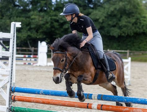 Jeune cavalier et poney en action lors d'un concours de saut d'obstacles
