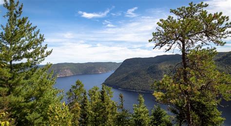 Vue panoramique du fjord du Saguenay avec des montagnes et une forêt dense