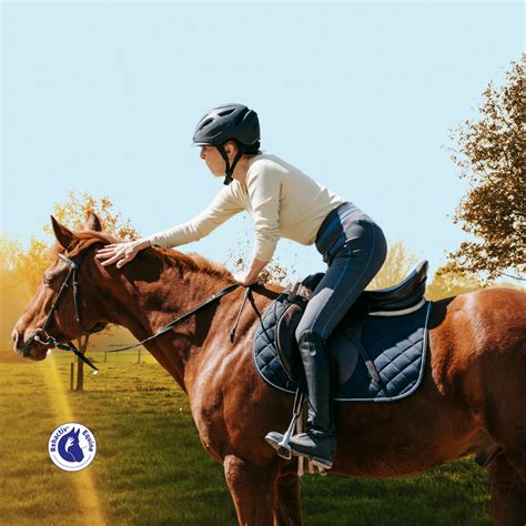 Cavalier et cheval sur un sentier forestier