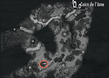 Crâne d'Arvak dans le Soul Cairn