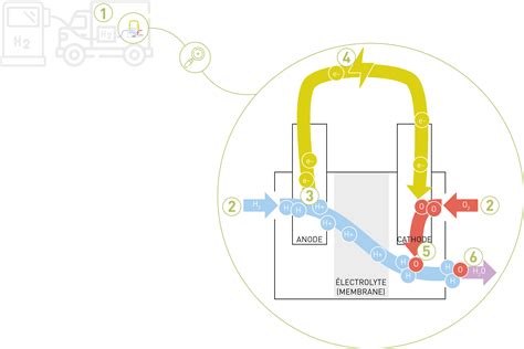 Schéma expliquant le fonctionnement du pari Flexi