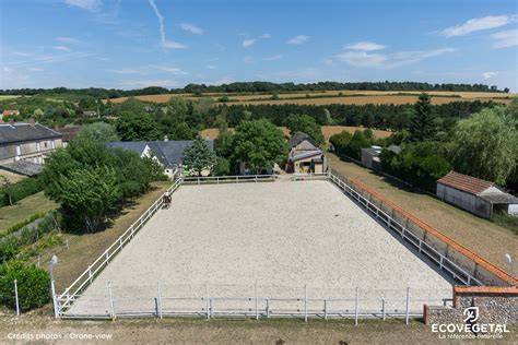 Carrière d'équitation avec des chevaux