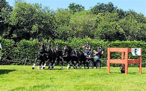 Attelage de quatre chevaux traversant un obstacle de marathon