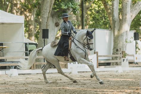 Jeunes cavaliers en compétition de Working Equitation