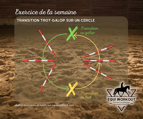 Cavalier effectuant un cercle parfait au trot