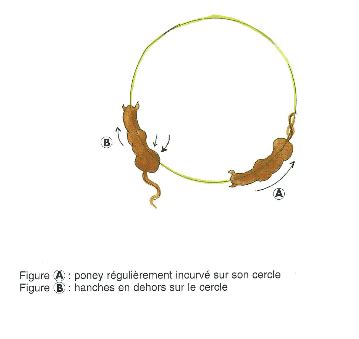 Diagramme illustrant l'incurvation du cheval sur un cercle
