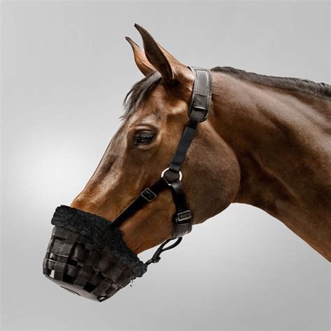 Muselière de pâturage