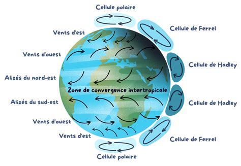 Diagramme des vents autour de l'équateur et des anticyclones subtropicaux