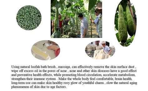 homme utilisant une lanière de crin pour le dos