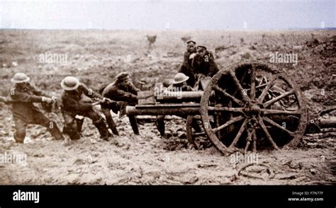 Chevaux tirant un canon dans la boue