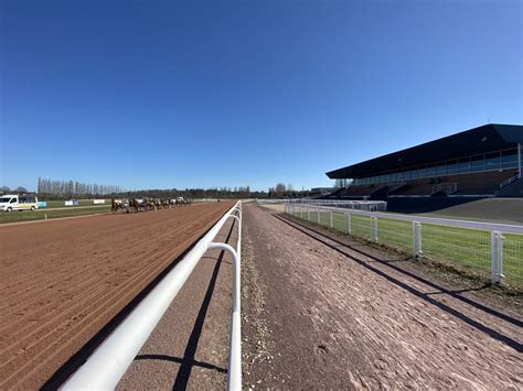 Photo d'un cheval franchissant la ligne d'arrivée sur un hippodrome