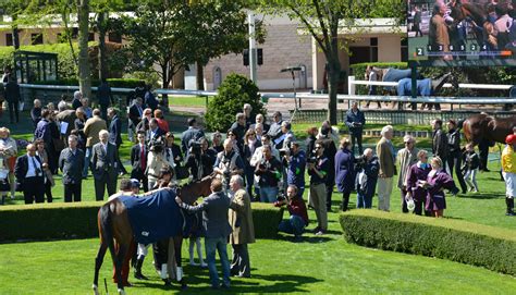 Jockeys et chevaux dans le rond de présentation avant une course