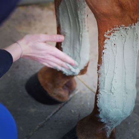 Cheval avec de l'argile sur les membres