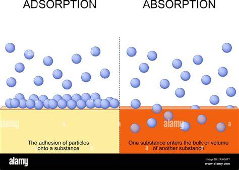 Diagramme montrant l'absorption et l'adsorption de l'argile
