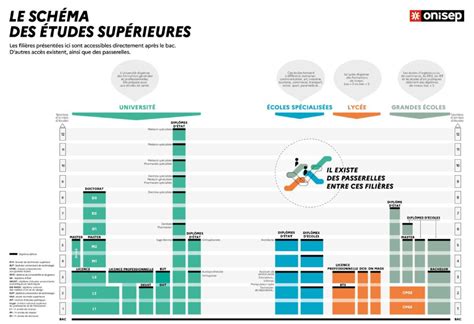 Schéma des niveaux de diplômes dans le sport et l'animation