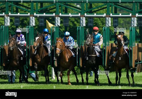Jockeys et chevaux dans une course de galop