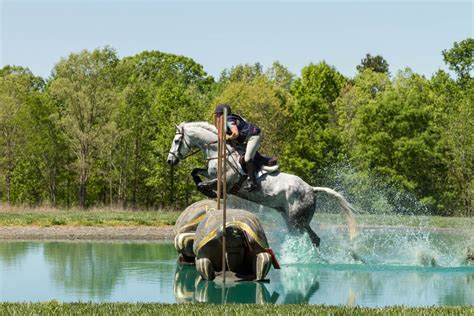 Cheval franchissant un obstacle de cross-country