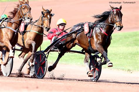 Jockey au trot attelé