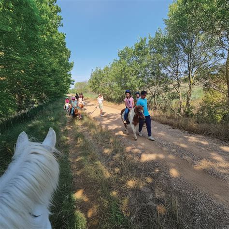 Famille faisant une balade à poney dans un paysage champêtre