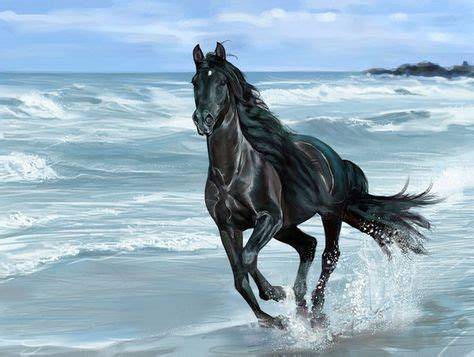 Cheval noir au galop