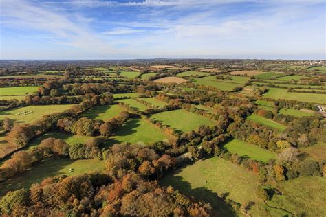 Cheval au pas dans un paysage de bocage normand