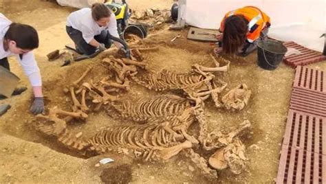 Fosses archéologiques avec squelettes de chevaux