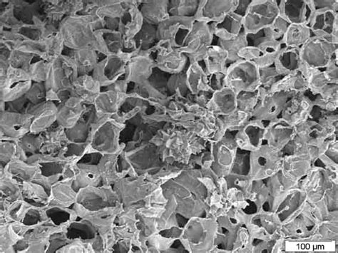 Microscope électronique à balayage d'une particule d'alumine poreuse