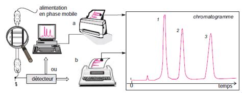 Exemple de chromatogramme avec des pics