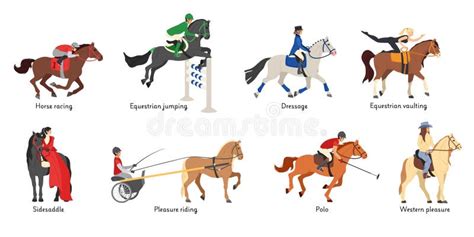 Diversité des disciplines équestres