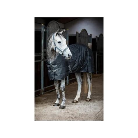 Cheval tondu portant une couverture d'écurie