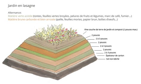 Illustration montrant l'alternance des couches vertes et brunes dans une lasagne de jardin
