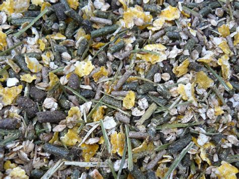 Granulés pour chevaux