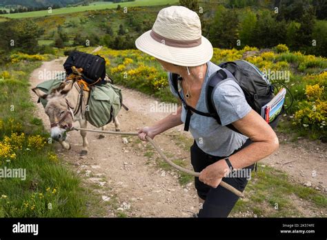 Famille randonnant avec un âne sur un sentier de montagne