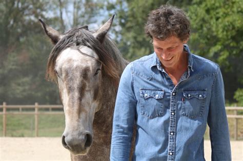 Cheval et cavalier travaillant en liberté