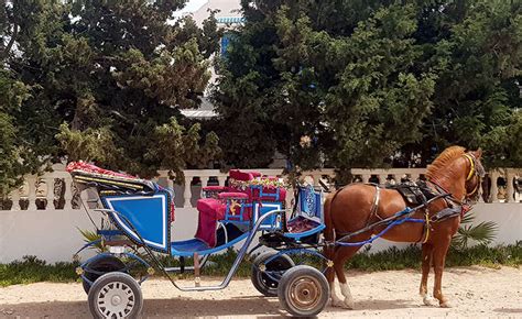Vue panoramique d'une lagune côtière à Djerba avec une calèche à proximité