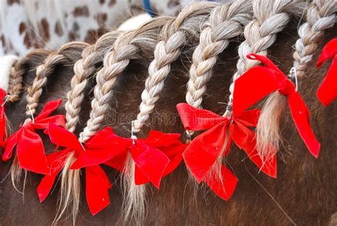 Crinière de cheval tressée avec des rubans rouges et dorés