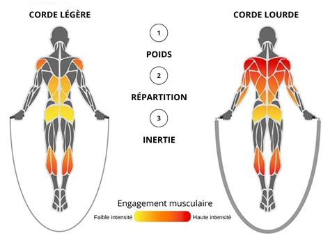 Schéma expliquant la corde au départ d'une course hippique
