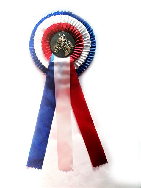 Cavalier recevant un flot coloré lors d'une remise de prix