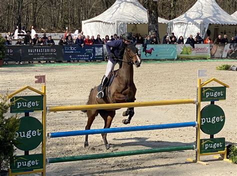 Concours hippique à Pau