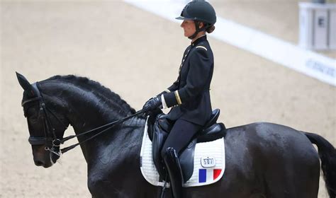Cavaliers et chevaux en dressage