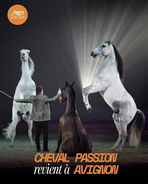 Village d'exposants lors d'un événement équestre