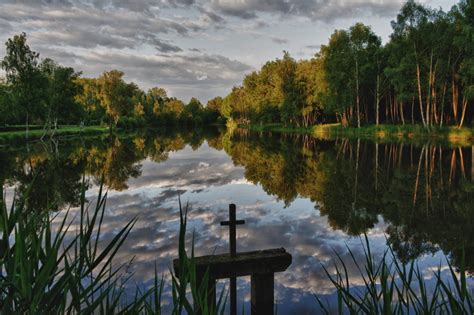 Paysage de Sologne avec forêts et étangs
