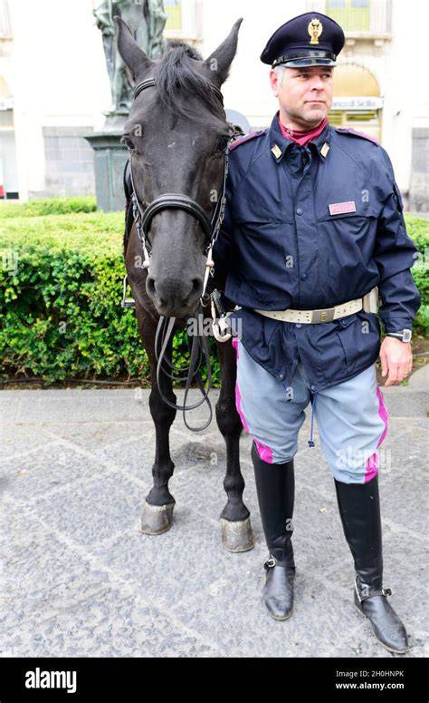 Portrait d'un cheval sicilien