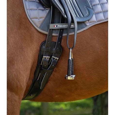 cheval avec tapis de sangle