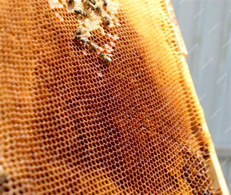 structure nid d'abeilles tapis de sangle