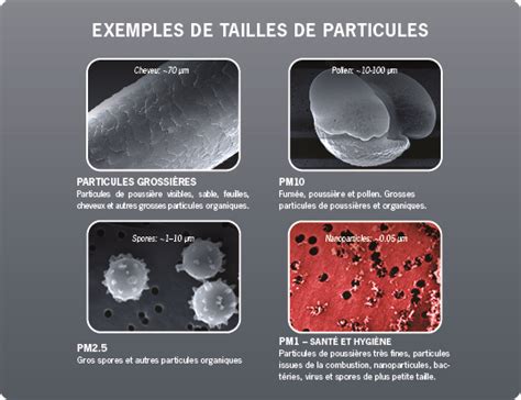 Représentation des particules fines dans l'air et leur impact sur les poumons