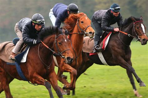 Cavalier d'entraînement sur un cheval de course