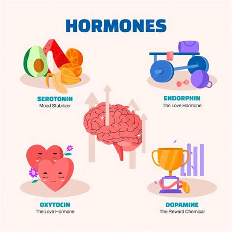 infographie sur les hormones extraites du sang de jument