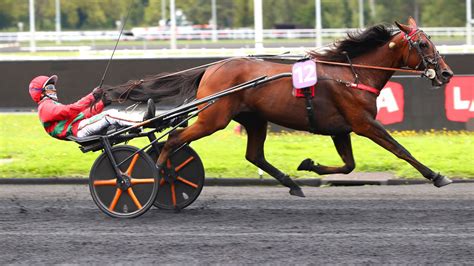 Pierre Geray au sulky, concentré sur la course